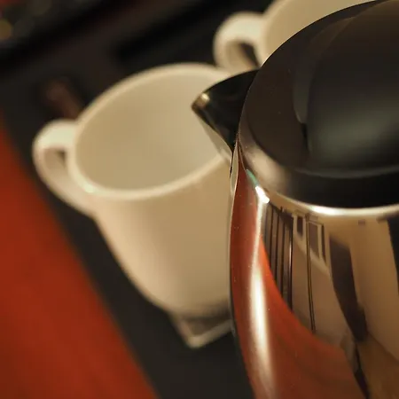 호텔 Vyprez - 데친